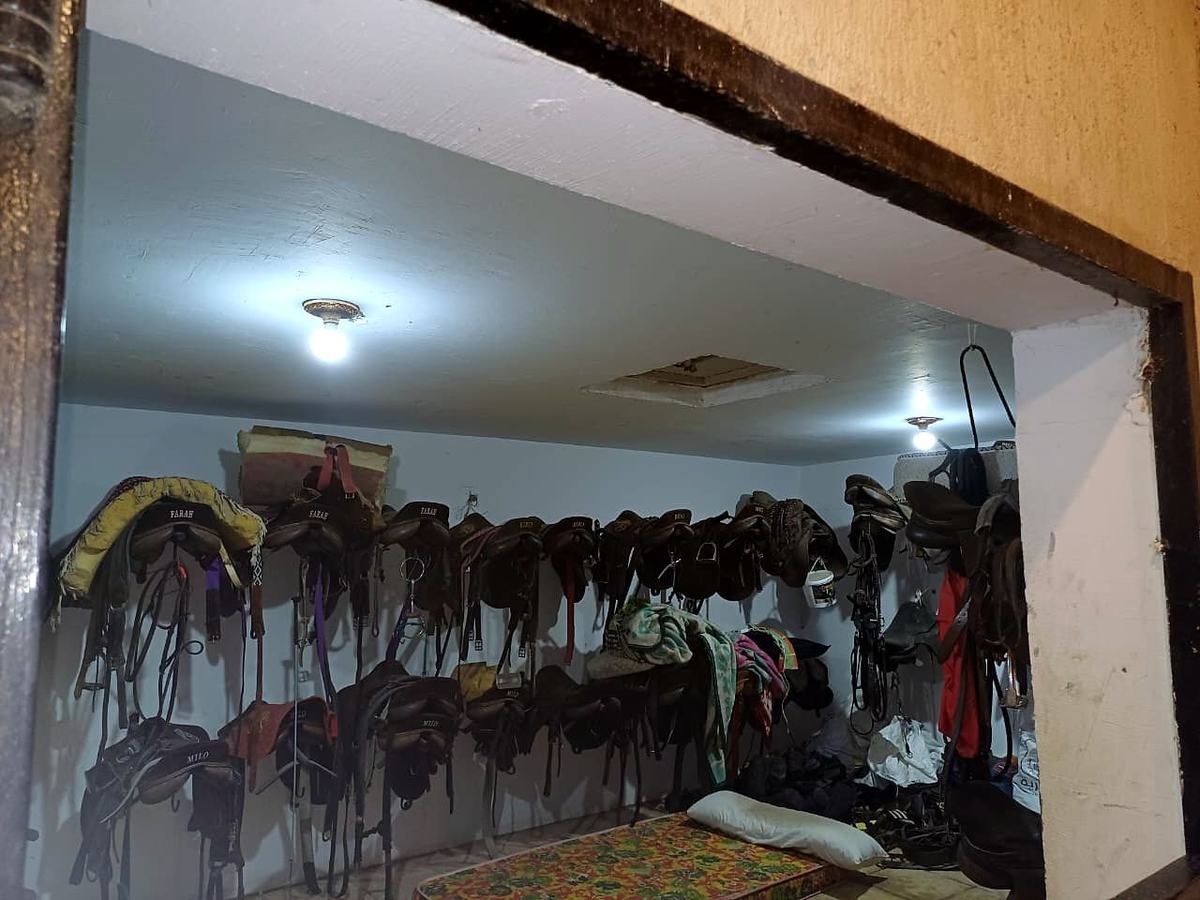 The Equestrian Yard — photographed on site