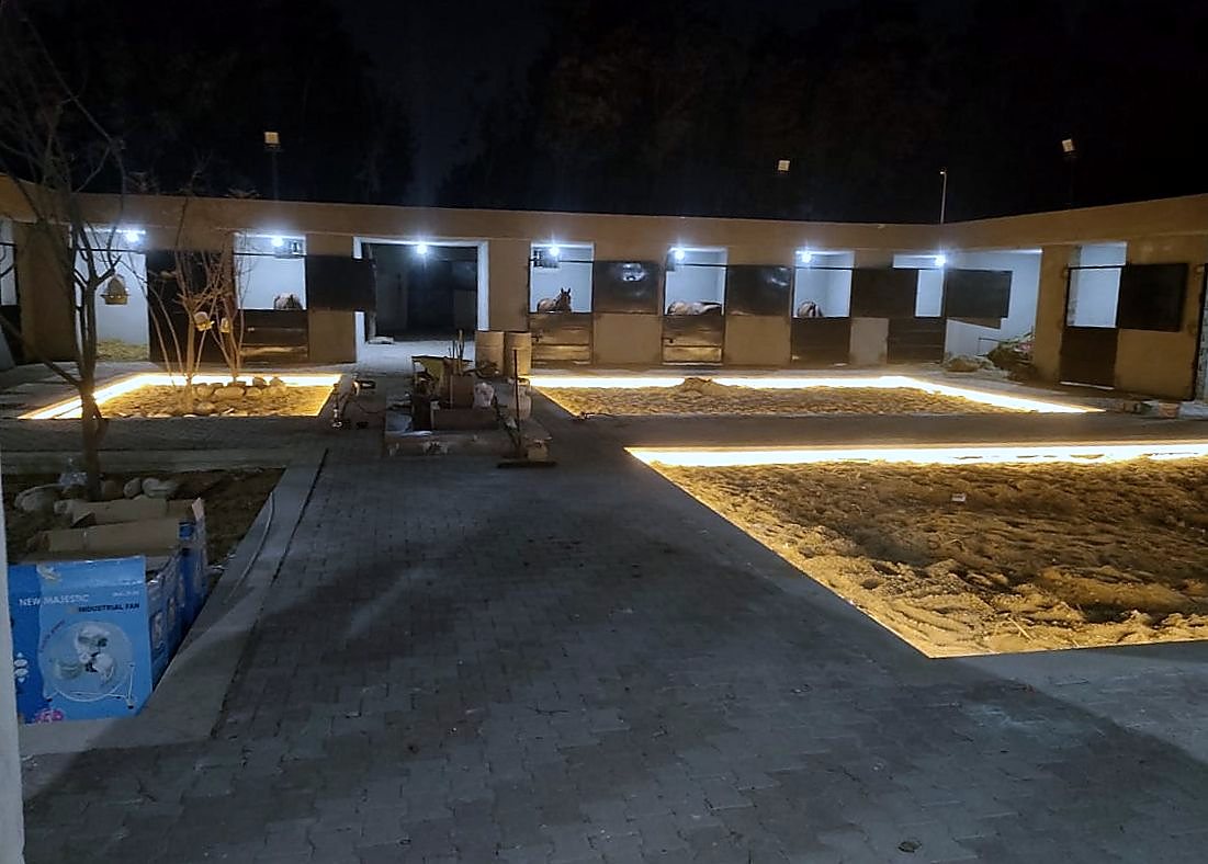 Lit stable boxes around three LED-edged sand beds at night