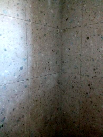 The Bathrooms Programme — frame 1185