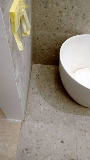 The Bathrooms Programme — frame 506