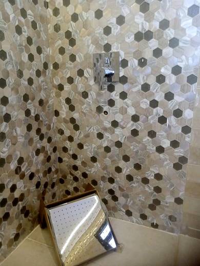The Bathrooms Programme — frame 538