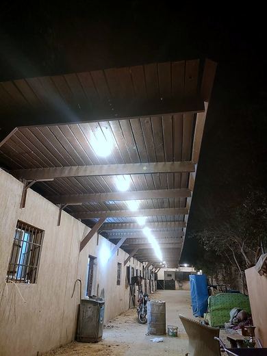 The Equestrian Yard — Egypt
