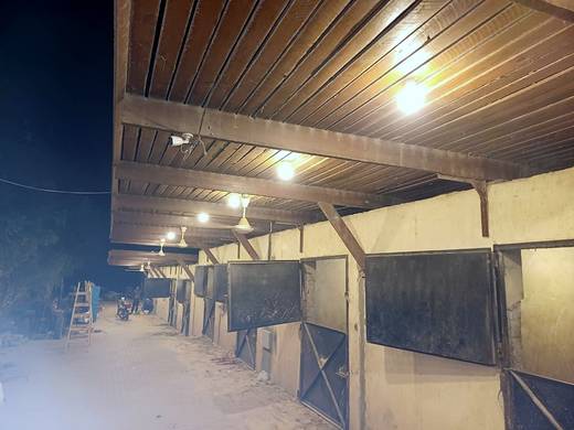 The Equestrian Yard — Egypt