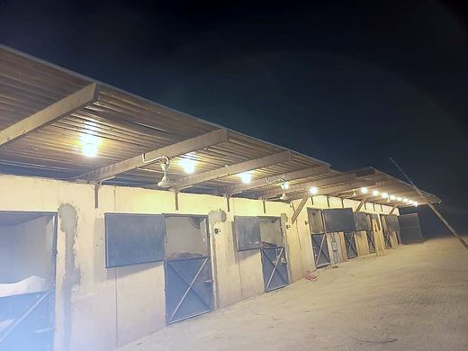 The Equestrian Yard — Egypt