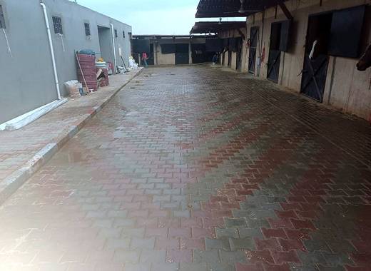 The Equestrian Yard — Egypt