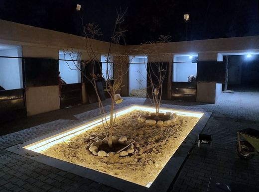 The Equestrian Yard — Egypt