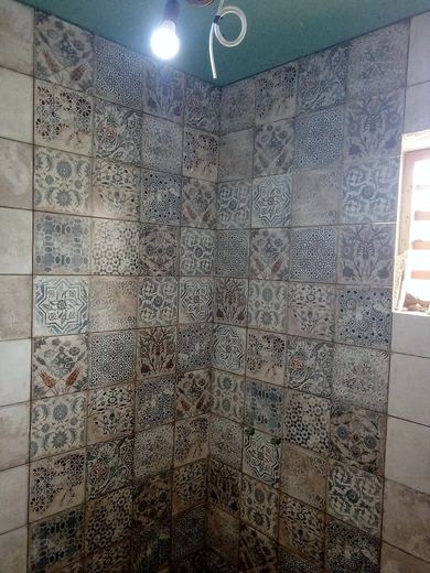 The Bathrooms Programme — frame 842