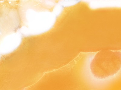 الألاباستر المصري — marble from الأقصر وبني سويف