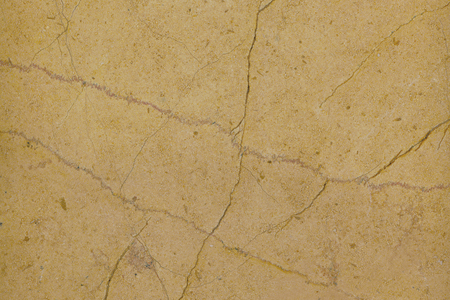 Goldi — surface detail