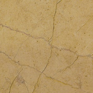 Goldi — surface detail