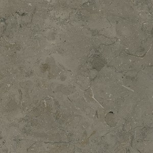 Imperial Grey — surface detail