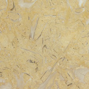 خطمية — تفاصيل السطح