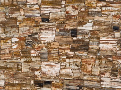 Petrified Wood Retro — semi-precious from Partner supply — imported block