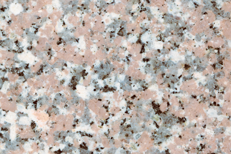 Rosa El Nasr — surface detail