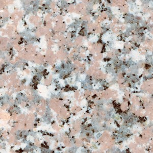 Rosa El Nasr — surface detail