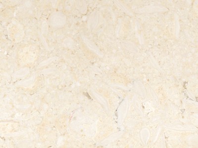 سماحة — marble from المنيا، صعيد مصر