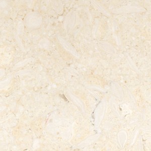 سماحة — تفاصيل السطح