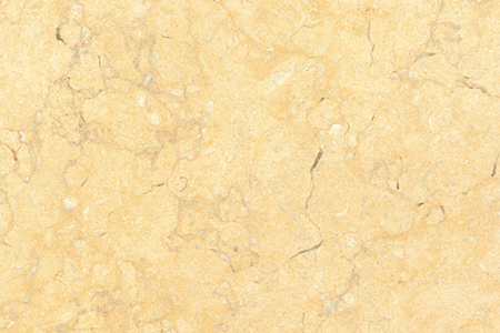 Sunny Dark — surface detail
