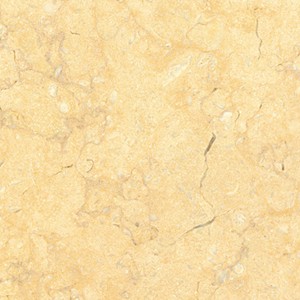 Sunny Dark — surface detail