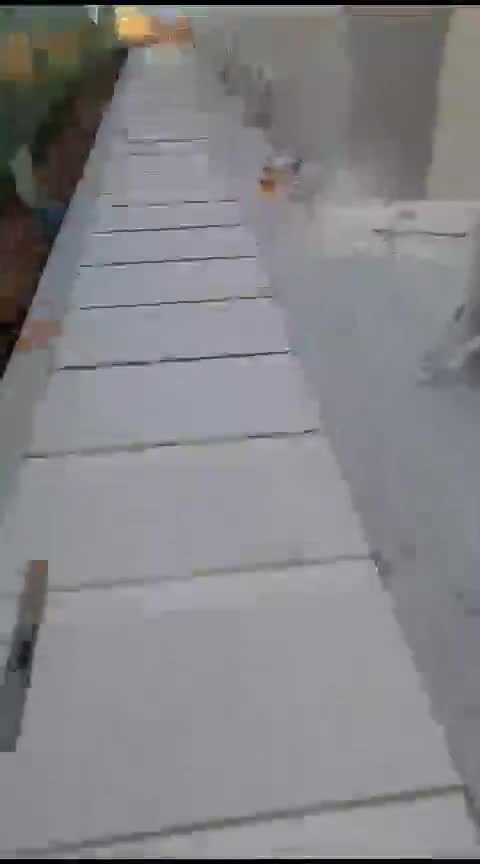 Hardscape, Paving & Walkways — on site