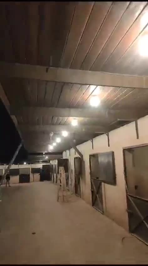 Stable aisle at night with the new ceiling lights on