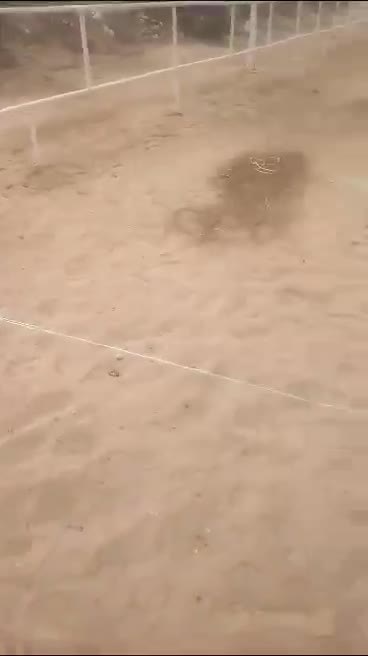 Sand yard marked out with a string line beside a white rail fence — on site