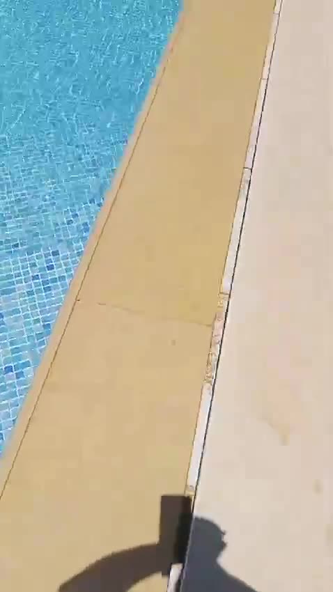 Swimming Pool — on site